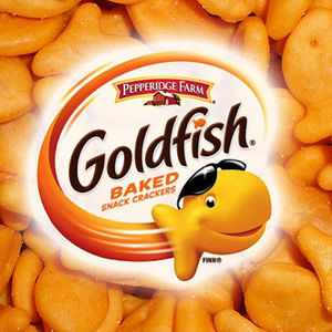 Meet your Posher, Drippy gold fish